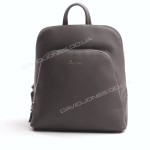 Жіночий рюкзак CM5300T gray 