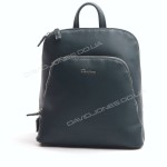Жіночий рюкзак CM5300T dark green 