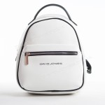 Жіночий рюкзак 6208-3T white