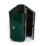 Жіночий гаманець WS-11 dark green LR